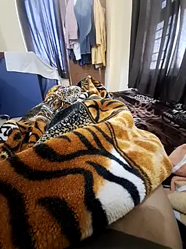 Snapshot of villagb12 chatting on February 14, 4:15 am villagb12 online show from February 14, 4:15 am