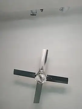 nicedick bro online show from October 6, 6:38 pm