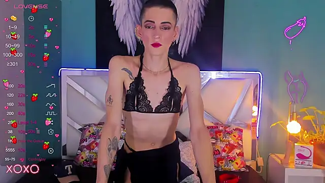 dominic thailor online show from March 18, 2:37 pm