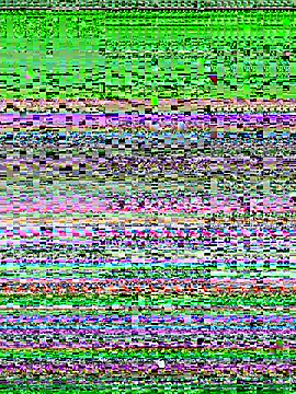 Snapshot of Barbyxhot chatting on November 21, 4:16 pm Barbyxhot online show from November 21, 4:16 pm