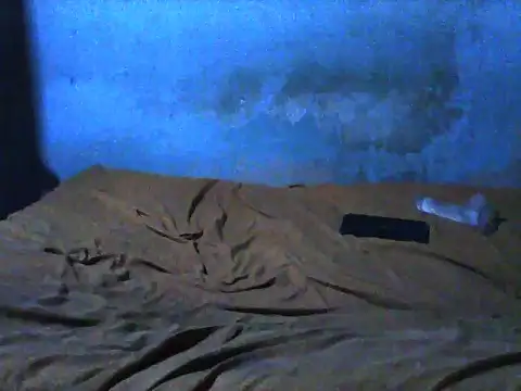 little  joy online show from November 30, 10:03 pm