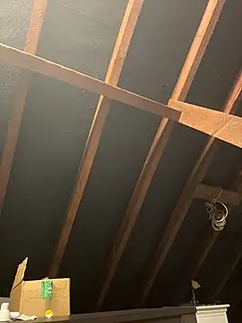 Snapshot of pervy_devil chatting on September 24, 12:19 pm pervy devil online show from September 24, 12:19 pm