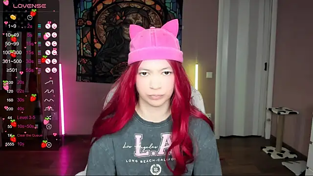 Project hisoka online show from January 19, 3:39 am