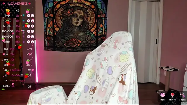 Project hisoka online show from January 24, 2:18 am