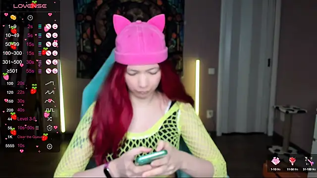 Project hisoka online show from January 31, 2:48 am