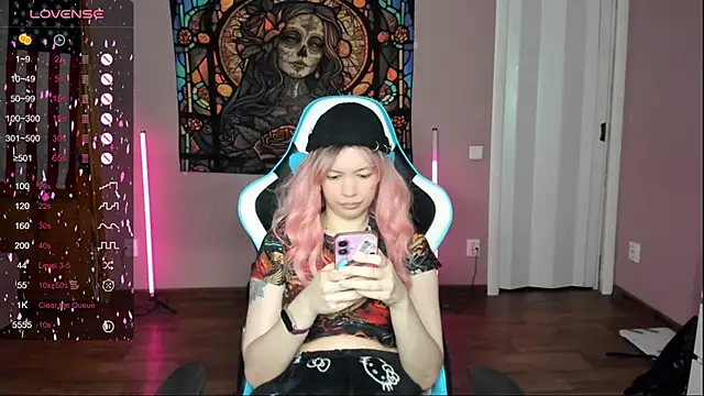 Project hisoka online show from November 12, 2:56 am