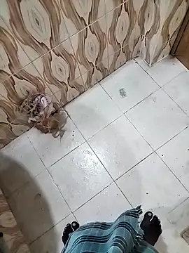 bas1cooks online show from September 30, 3:22 am