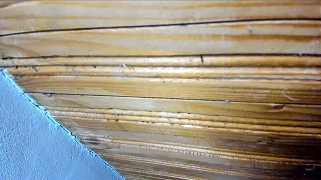 Snapshot of 00loret chatting on February 21, 10:39 am 00loret online show from February 21, 10:39 am