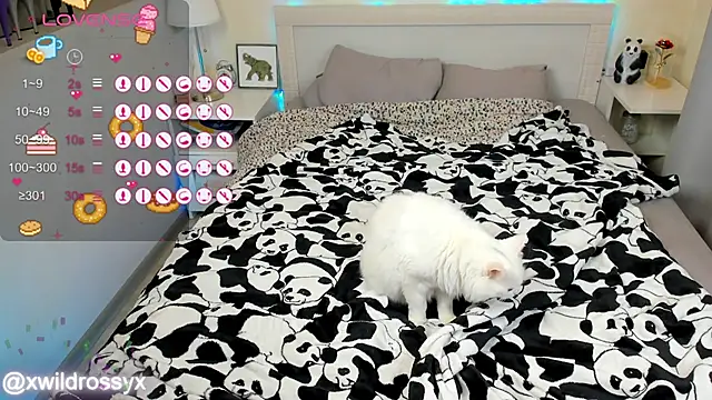 wildrossy online show from October 15, 6:24 am