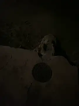 Snapshot of nowex18 chatting on March 6, 6:52 am nowex18 online show from March 6, 6:52 am