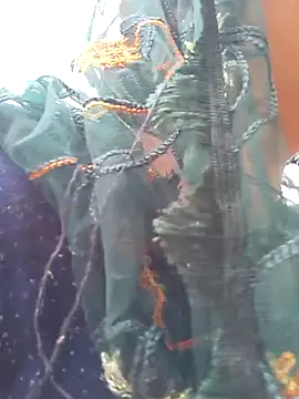 Snapshot of Simaran_bhabhi chatting on March 16, 4:09 am Simaran bhabhi online show from March 16, 4:09 am