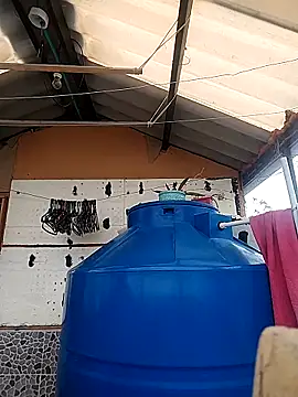 rebekka simpson online show from October 16, 4:08 pm