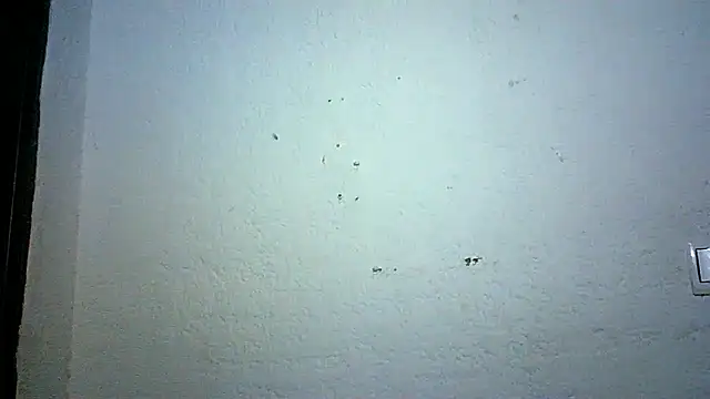 Bellabeltrann online show from October 3, 9:12 pm