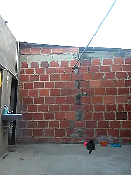 Snapshot of ariana_d20 chatting on March 11, 10:53 pm ariana d20 online show from March 11, 10:53 pm