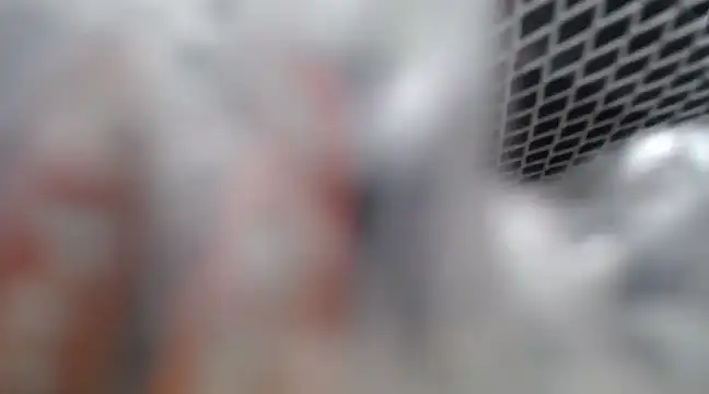 Lovensetest online show from February 26, 7:09 am