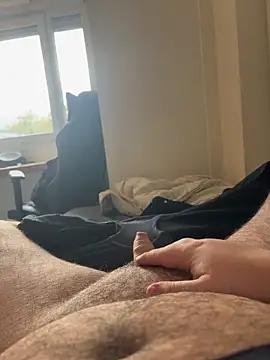 aquarium2345 online show from November 2, 3:25 pm