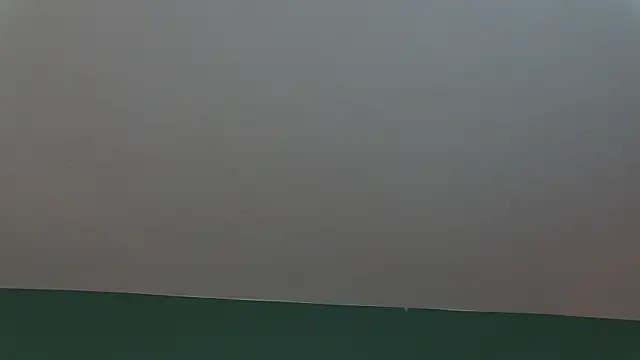 AlicePirs online show from January 25, 5:40 am