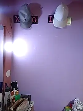 Camille rose  online show from November 8, 2:17 pm