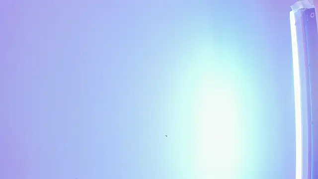 ellamontoya online show from November 16, 1:28 pm