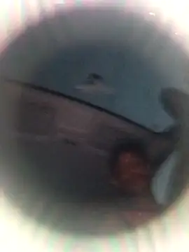 Ursonego online show from October 3, 10:07 pm