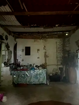 Snapshot of amy_gata chatting on November 15, 10:12 am amy gata online show from November 15, 10:12 am