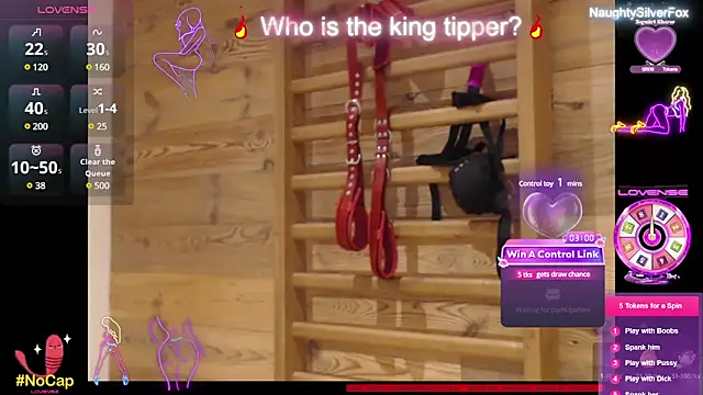 NaughtySilverFox online show from February 10, 2:16 pm