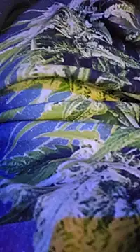 McdyllanXX online show from February 13, 12:24 am