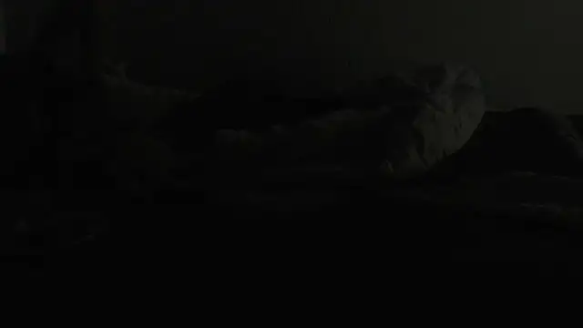 Snapshot of flexingplexico chatting on January 6, 7:13 pm flexingplexico online show from January 6, 7:13 pm