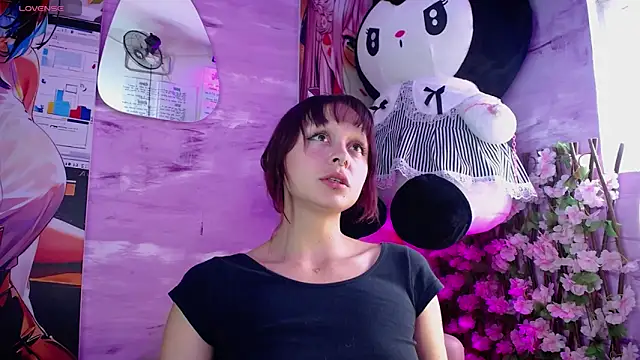 bombom 6 online show from December 3, 5:00 pm