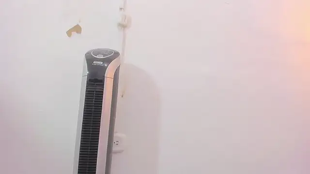 penelope handaos online show from December 12, 5:31 am