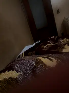 bigboy30X online show from October 21, 2:51 pm