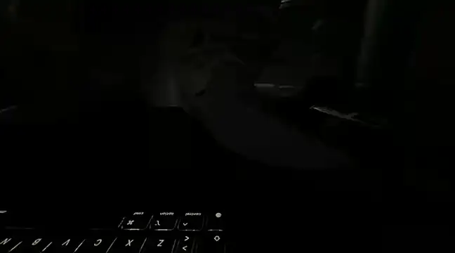 RawRyder8 online show from March 12, 2:30 am