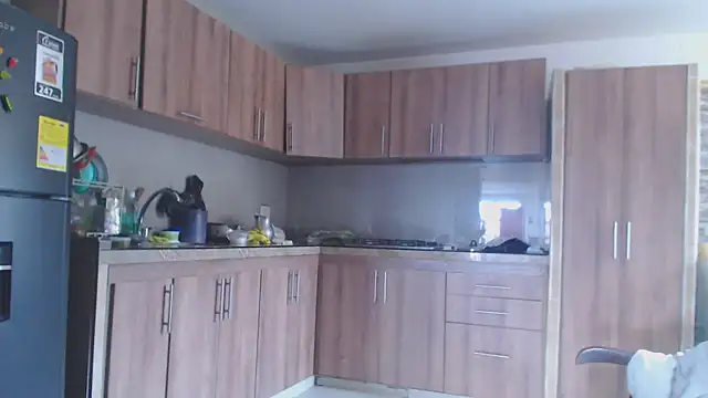 brigitht online show from January 21, 5:51 pm