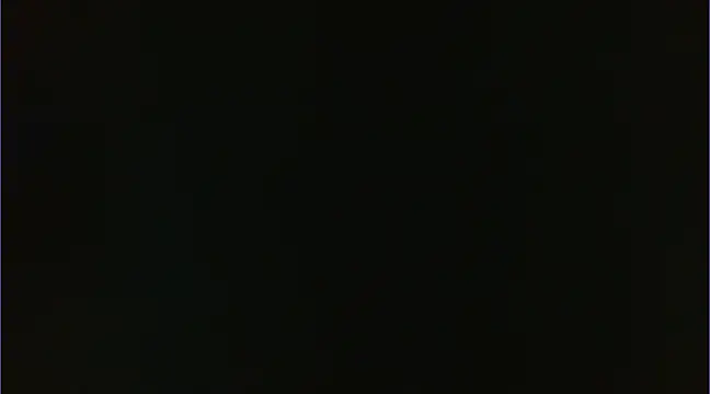 Geisha Seniers online show from January 14, 3:15 pm