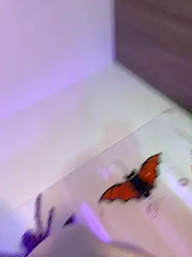 mikuru hara online show from October 5, 2:10 am