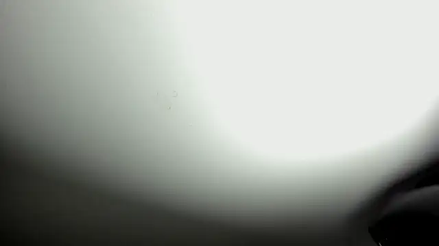 Snapshot of selene_red_ chatting on October 8, 3:42 pm selene red online show from October 8, 3:42 pm