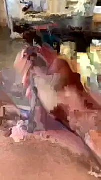 Snapshot of elber-gdo chatting on February 5, 10:55 pm elber-gdo online show from February 5, 10:55 pm