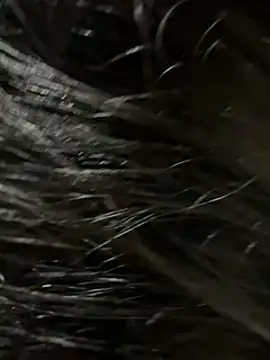 Snapshot of elber-gdo chatting on February 9, 4:14 am elber-gdo online show from February 9, 4:14 am