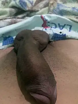 king cum  online show from December 24, 9:28 am