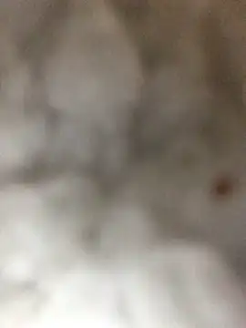 indie-rayne online show from January 3, 9:05 pm