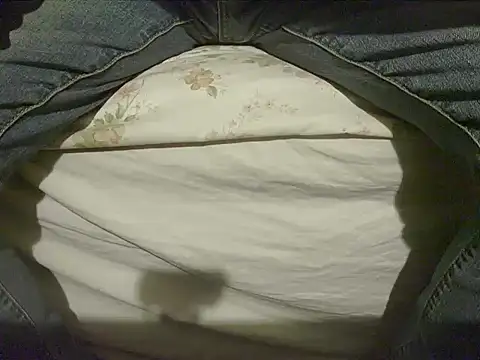 Snapshot of Tiger202441 chatting on December 8, 1:56 am Tiger202441 online show from December 8, 1:56 am