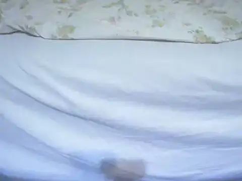 Snapshot of Tiger202441 chatting on February 12, 11:41 pm Tiger202441 online show from February 12, 11:41 pm