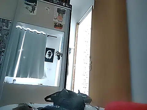 Binhosex2024 online show from March 12, 6:00 pm