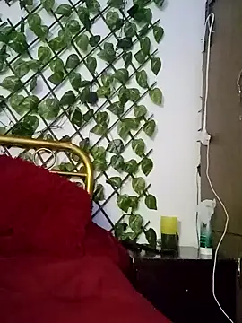 amatista 3012 online show from October 13, 11:54 am