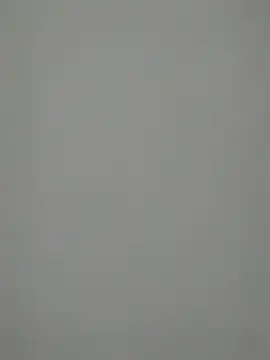 TheSouthernKing online show from December 27, 12:12 pm