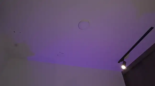 appolo allen online show from March 17, 7:24 am