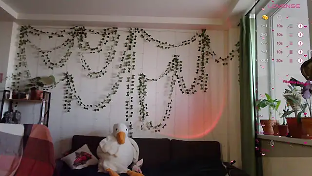 Your Corvus online show from January 21, 11:35 am