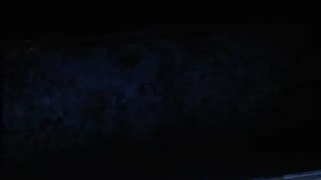 joeydee1 online show from February 17, 2:04 pm