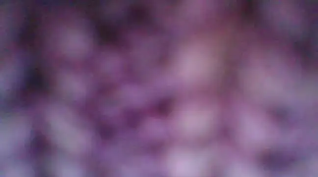 mia cooper 24 online show from December 30, 7:00 pm