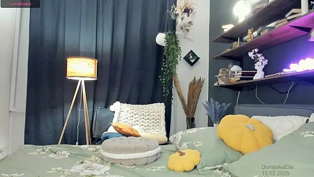 DominikaElis online show from February 15, 8:11 pm